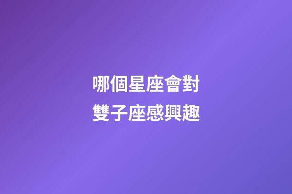 哪個星座會對雙子座感興趣-第1張-星座運勢-玄機派