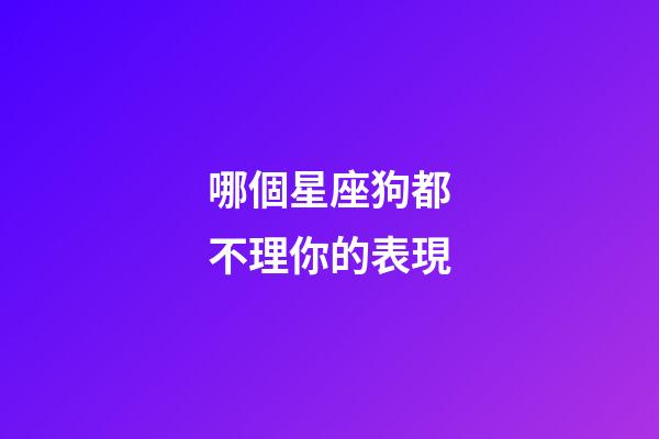 哪個星座狗都不理你的表現-第1張-星座運勢-玄機派