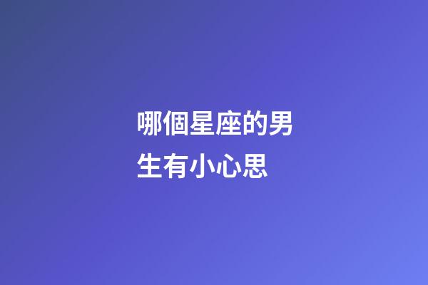 哪個星座的男生有小心思-第1張-星座運勢-玄機派