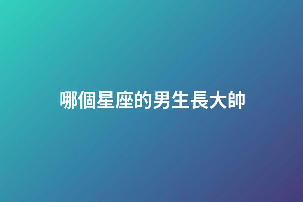 哪個星座的男生長大帥-第1張-星座運勢-玄機派