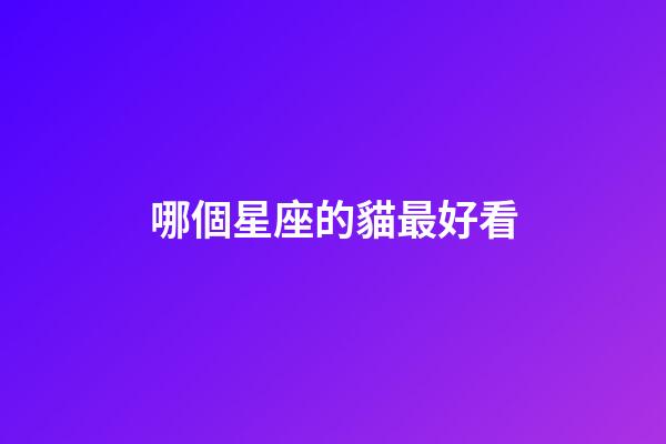 哪個星座的貓最好看-第1張-星座運勢-玄機派