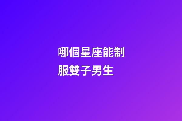 哪個星座能制服雙子男生-第1張-星座運勢-玄機派