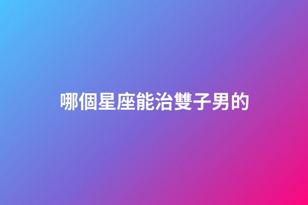 哪個星座能治雙子男的-第1張-星座運勢-玄機派