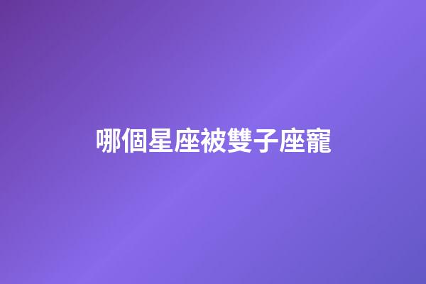 哪個星座被雙子座寵-第1張-星座運勢-玄機派