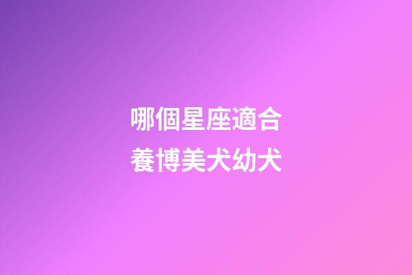 哪個星座適合養博美犬幼犬-第1張-星座運勢-玄機派