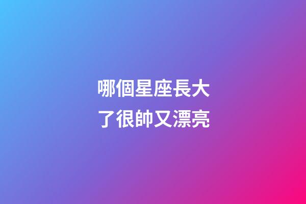 哪個星座長大了很帥又漂亮-第1張-星座運勢-玄機派