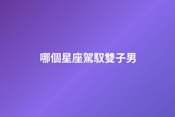 哪個星座駕馭雙子男-第1張-星座運勢-玄機派