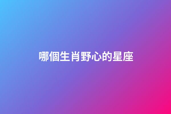 哪個生肖野心的星座-第1張-星座運勢-玄機派