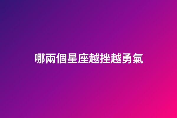 哪兩個星座越挫越勇氣-第1張-星座運勢-玄機派