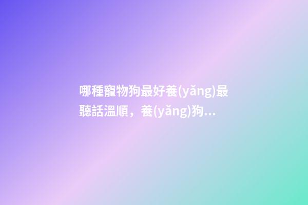 哪種寵物狗最好養(yǎng)最聽話溫順，養(yǎng)狗“首選”這8種狗