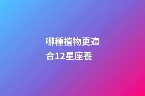 哪種植物更適合12星座養-第1張-星座運勢-玄機派