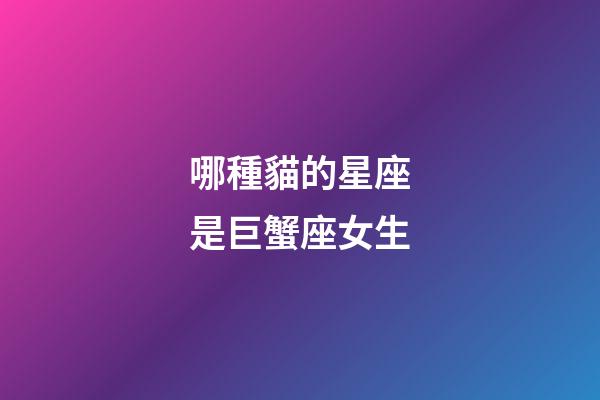 哪種貓的星座是巨蟹座女生