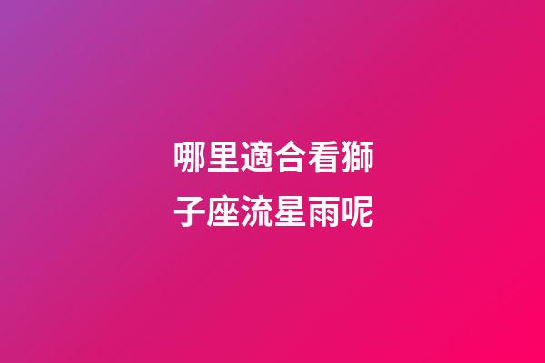 哪里適合看獅子座流星雨呢-第1張-星座運(yùn)勢(shì)-玄機(jī)派