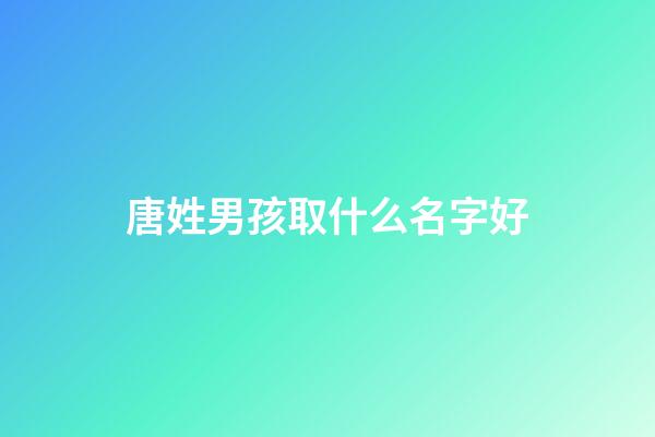 唐姓男孩取什么名字好(唐姓男寶寶取名字)-第1張-男孩起名-玄機派