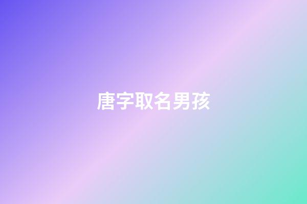 唐字取名男孩(唐字取名男孩有寓意的名字)-第1張-男孩起名-玄機派