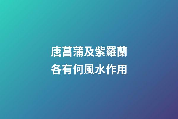 唐菖蒲及紫羅蘭各有何風水作用?