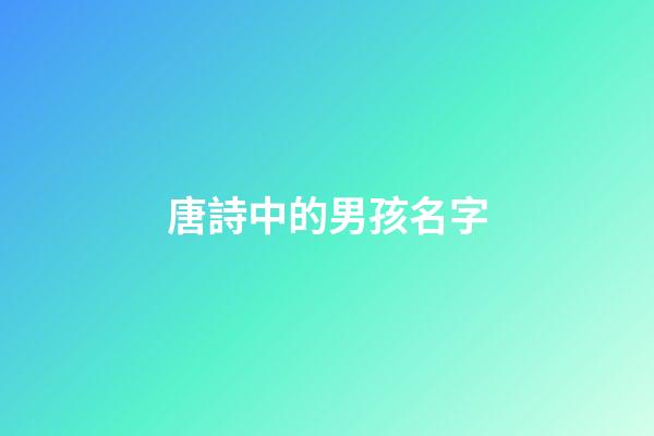 唐詩中的男孩名字(唐詩里面的男孩名字)-第1張-男孩起名-玄機派