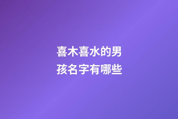 喜木喜水的男孩名字有哪些(生辰八字喜木的男孩名字)-第1張-男孩起名-玄機派