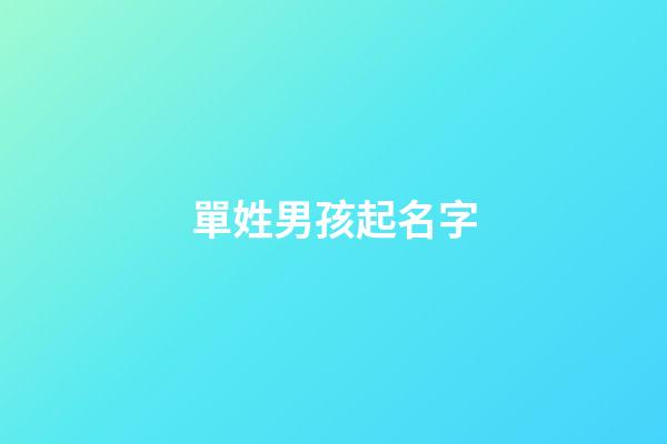 單姓男孩起名字(單姓好聽(tīng)的男孩名字)-第1張-男孩起名-玄機(jī)派