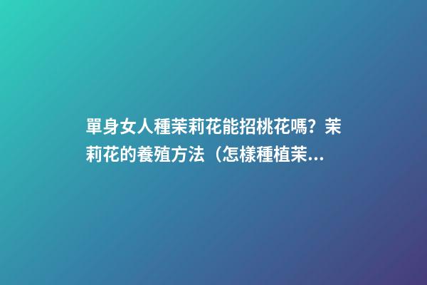 單身女人種茉莉花能招桃花嗎？茉莉花的養殖方法（怎樣種植茉莉花才多花）