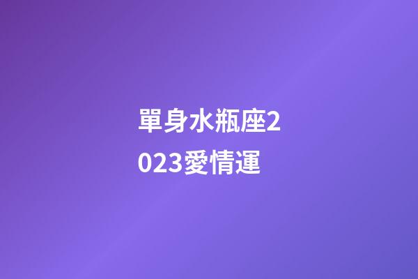 單身水瓶座2023愛情運-第1張-星座運勢-玄機派