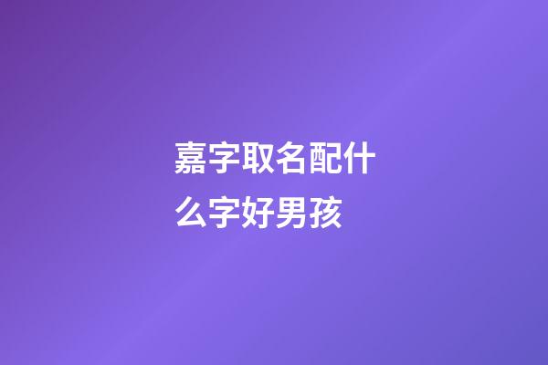 嘉字取名配什么字好男孩(與嘉字搭配的男孩名字)-第1張-男孩起名-玄機派