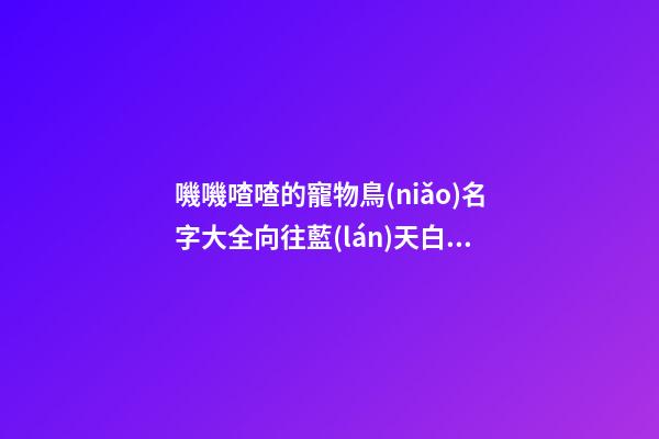 嘰嘰喳喳的寵物鳥(niǎo)名字大全向往藍(lán)天白云