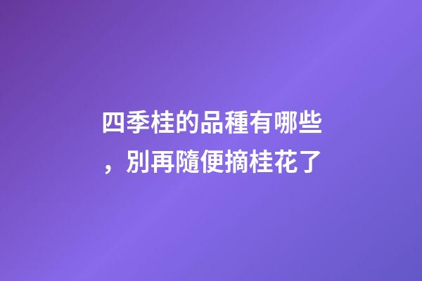四季桂的品種有哪些，別再隨便摘桂花了-第1張-觀點(diǎn)-玄機(jī)派