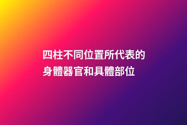 四柱不同位置所代表的身體器官和具體部位