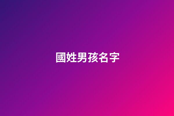 國姓男孩名字(男孩名字國字輩大全)-第1張-男孩起名-玄機派