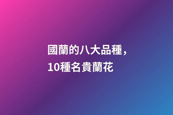 國蘭的八大品種，10種名貴蘭花-第1張-觀點-玄機派