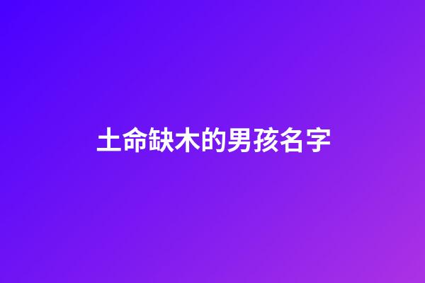 土命缺木的男孩名字(缺土缺木的男孩洋氣名字)-第1張-男孩起名-玄機派