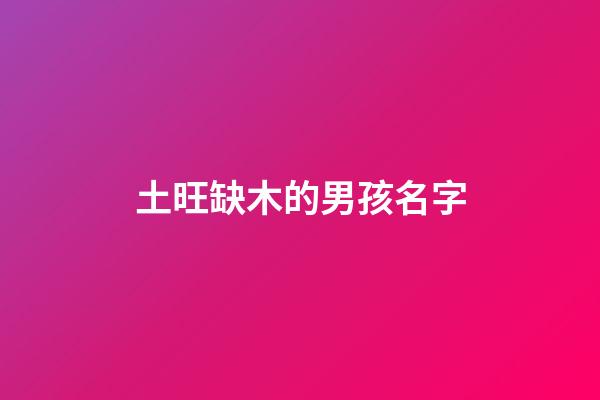 土旺缺木的男孩名字(屬土缺木的名字男孩)-第1張-男孩起名-玄機派