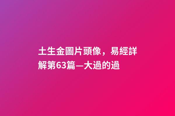 土生金圖片頭像，易經詳解第63篇—大過的過
