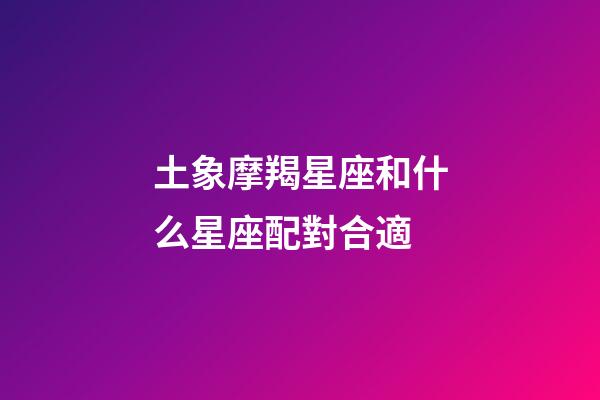 土象摩羯星座和什么星座配對合適-第1張-星座運勢-玄機派