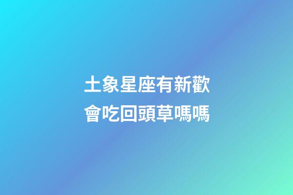 土象星座有新歡會吃回頭草嗎嗎-第1張-星座運勢-玄機派