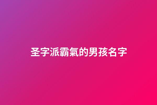 圣字派霸氣的男孩名字(圣字取名男孩名字大全)-第1張-男孩起名-玄機派