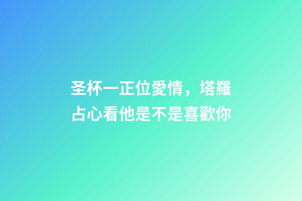 圣杯一正位愛情，塔羅占心看他是不是喜歡你-第1張-觀點(diǎn)-玄機(jī)派