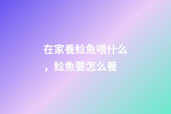在家養鯰魚喂什么，鯰魚要怎么養-第1張-觀點-玄機派