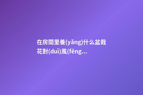 在房間里養(yǎng)什么盆栽花對(duì)風(fēng)水好