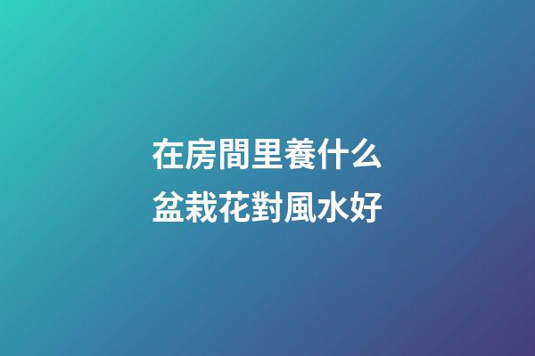 在房間里養什么盆栽花對風水好