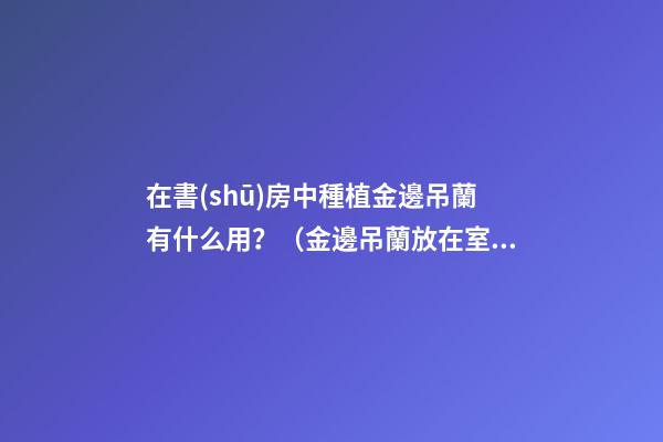 在書(shū)房中種植金邊吊蘭有什么用？（金邊吊蘭放在室內(nèi)好嗎）
