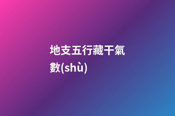 地支五行藏干氣數(shù)
