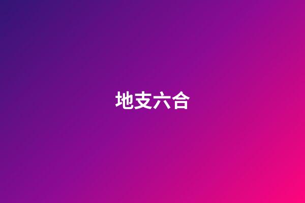 地支六合
