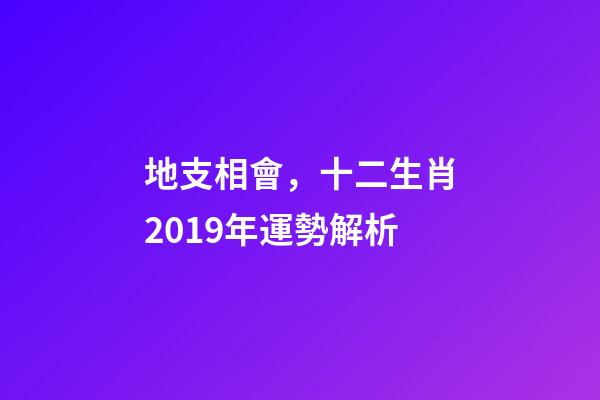 地支相會，十二生肖2019年運勢解析-第1張-觀點-玄機派