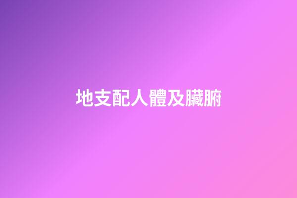 地支配人體及臟腑