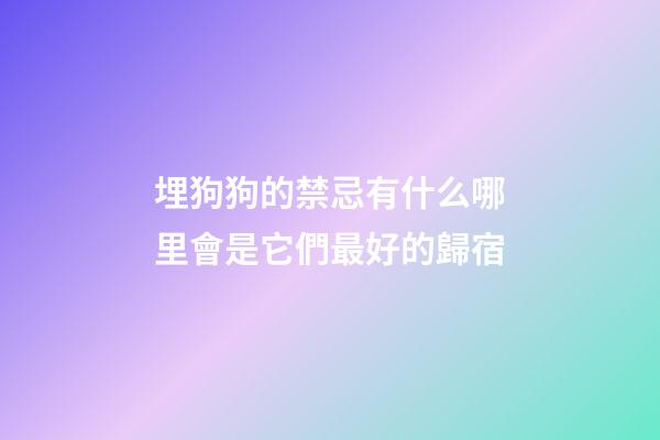 埋狗狗的禁忌有什么?哪里會是它們最好的歸宿?