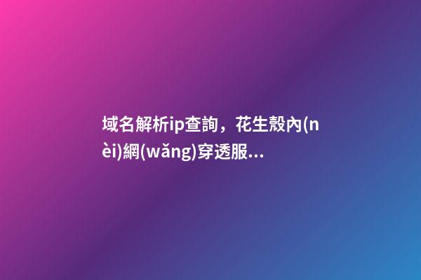 域名解析ip查詢，花生殼內(nèi)網(wǎng)穿透服務(wù)域名解析出現(xiàn)問題的解決方法-第1張-觀點-玄機派