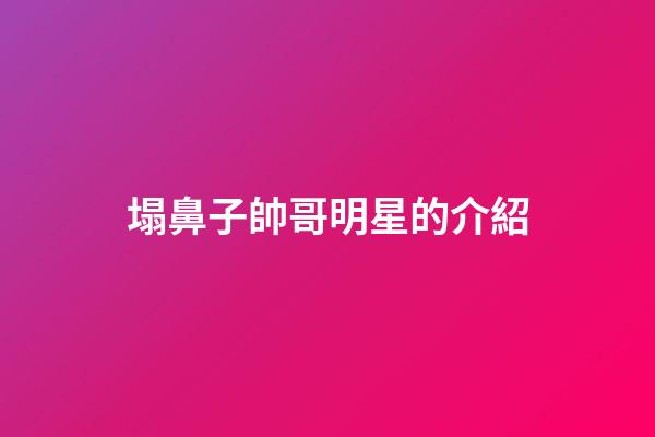 塌鼻子帥哥明星的介紹
