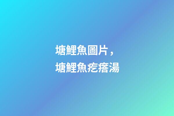 塘鯉魚圖片，塘鯉魚疙瘩湯-第1張-觀點-玄機派